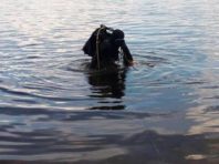 У Києві жінка впала з набережної в Дніпро