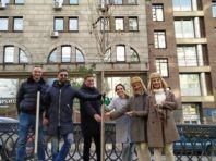 На бульварі Шевченка висадили 20 безалергійних тополь