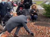 100 тисяч тюльпанів посадили у центрі Києва