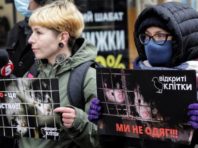 Зима без хутра: як кияни відстоювали життя тварин