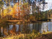 Куди поїхати на вікенд за Київ [Фото]