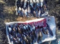 Під Києвом браконьєри «набили» електровудкою риби на кримінальну статтю