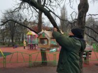 800 годівниць для птахів розмістять у Києві