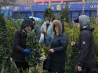 В Україні стартувала акція “Новорічна ялинка – 2021”