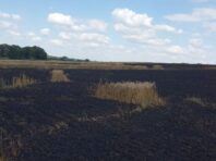 Росіяни обстріляли три громади Сумської області: було 90 прильотів