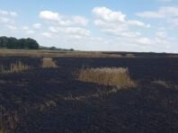 У Сумській області – понад 60 “прильотів” за добу: глава ОВА розповів деталі