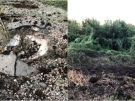 Окупанти обстріляли Сумську область: в ОВА розповіли про наслідки