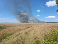 Окупанти вдарили по полю з пшеницею на Сумщині: у ДПСУ показали наслідки