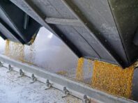 Вкрали 138 тисяч тонн зерна в Запорізькій області: підозрюються військові РФ