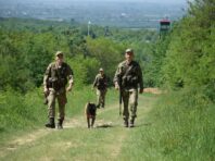 Рятувальники із собаками кілька годин шукали ухилянта, який загубився у горах
