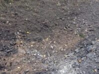 Окупанти обстріляли три громади Сумської області: в ОВА розповіли про наслідки