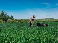 Росіяни обстріляли приватний сектор Покровська: поранено жінку