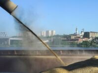 З України “зерновим коридором” вирушив ще один караван з продовольством