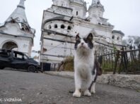 Як виглядає звільнений від росіян Святогірськ: фоторепортаж