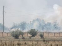 У Полтавській області сьогодні можуть лунати звуки стрілянини та вибухів: що відомо