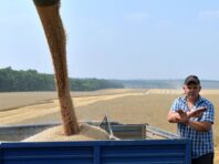 Україна повідомила про підозру організатору перевезення викраденого зерна через Крим