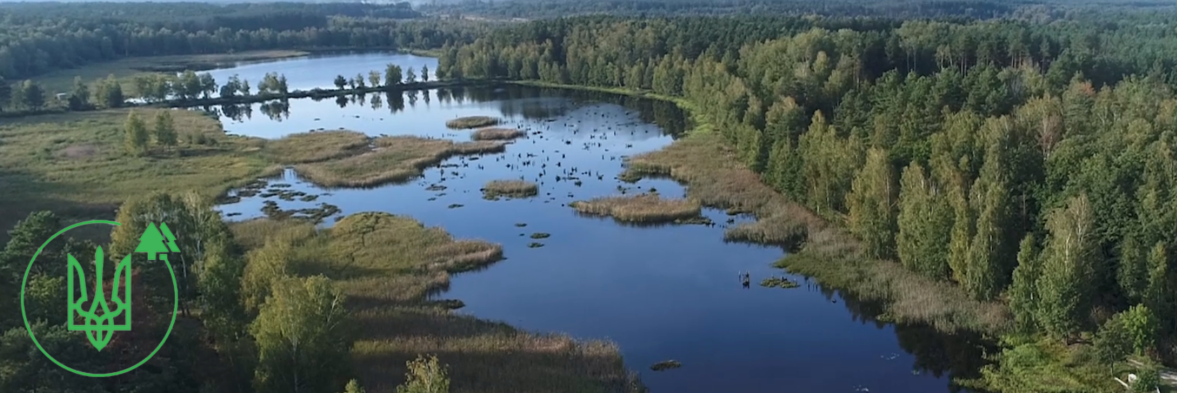 Ліси України