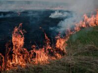 Росія здійснила 26 обстрілів Сумщини, зафіксовано 59 вибухів