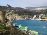 Україна затримала в Чорному морі вантажне судно: у ВМС назвали причину