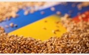 Українське зерно