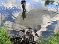 У Києві в одному зі ставків виявили залишки ракети Х-101