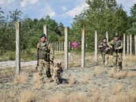 Прикордонники показали, що зараз відбувається на кордоні України з Білоруссю