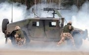 армія Литви