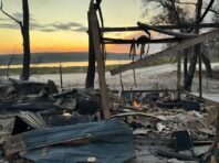 У Харківській області під час лісової пожежі згоріло ціле селище: є жертви (фото, відео)