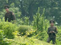 У ЦПД пояснили присутність військових Північної Кореї у Донецькій області