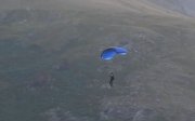 Через стрибок Тома Круза з парашутом знепритомніло стадо корів