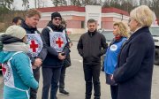 Лубінець і Москалькова