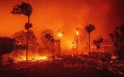 Масштабні лісові пожежі у Лос-Анджелесі