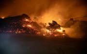 Лісові пожежі у Лос-Анджелесі