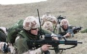 Миротворці в Україні - Литва назвала свою умову