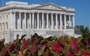 Що відомо про плани сенаторів США