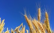 Що відомо про ситуацію в Польщі